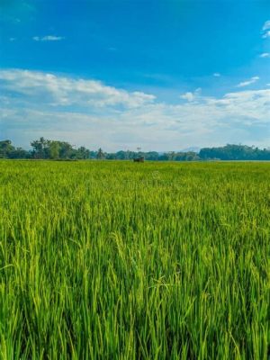  Rice is Life: A Cultural and Economic Tapestry of Indonesian Rice Farming 