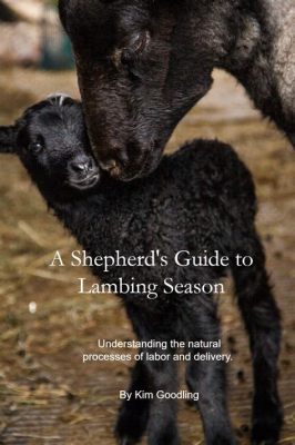  Lambing: A Shepherd's Guide to Pregnancy and Birth - Unveiling the Poetic Cycle of Life on the Rural Canvas